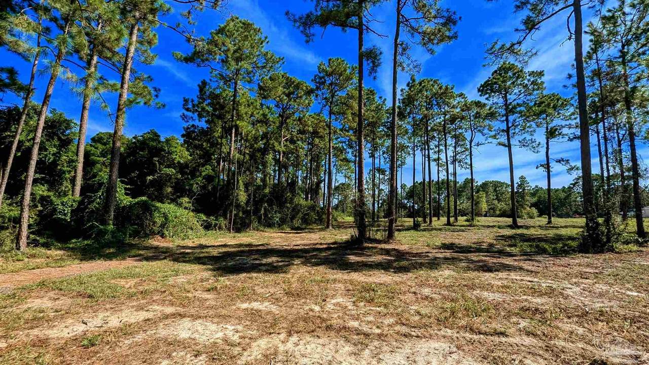 31870 Grafton Rd - Photo 1