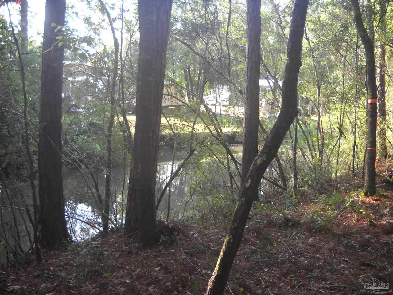 3178 Harrison St - Photo 1