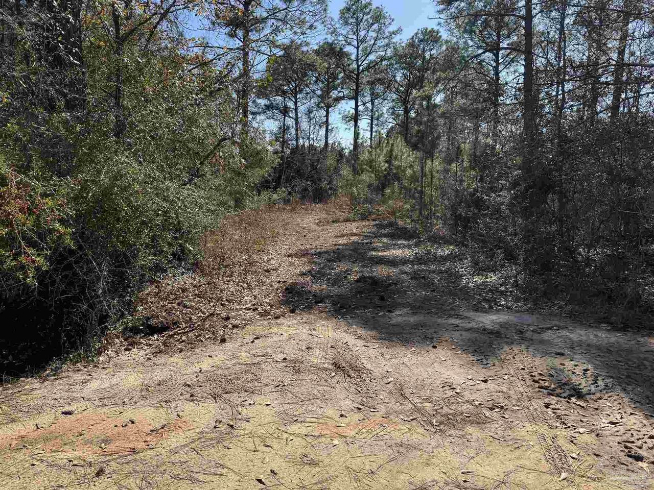 https://bt-photos.global.ssl.fastly.net/pensacola/1280_boomver_2_658485-2.jpg