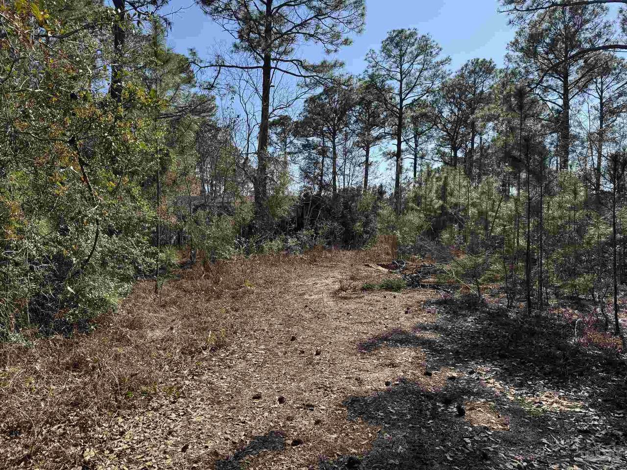 https://bt-photos.global.ssl.fastly.net/pensacola/1280_boomver_2_658485-2.jpg