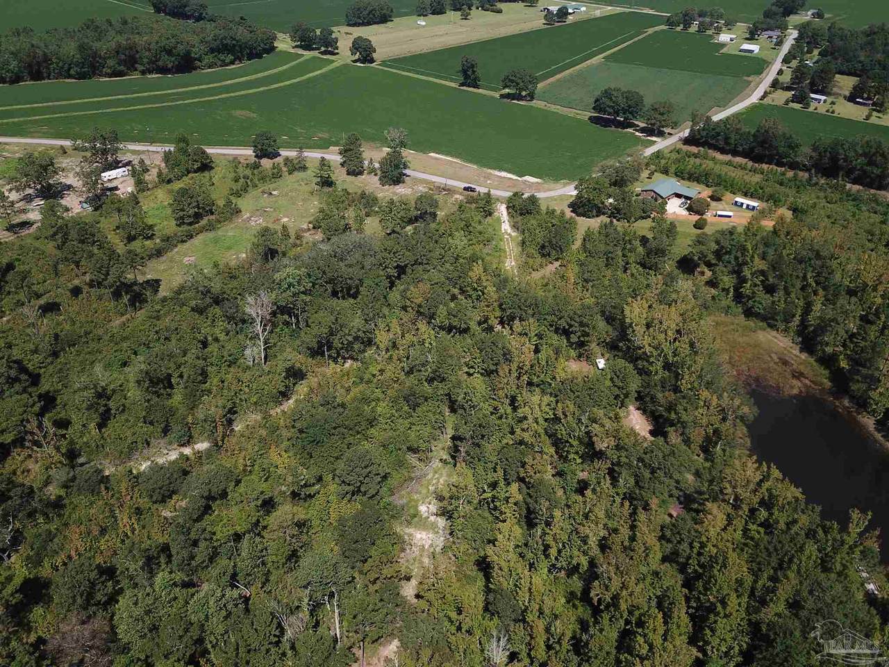 Lot 6 Will Jones Rd - Photo 1