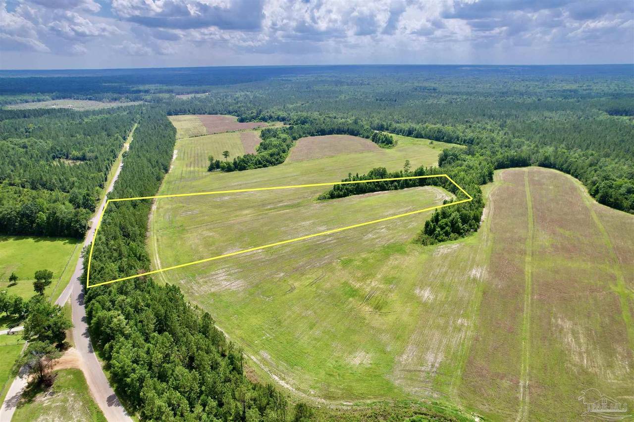 Lot 48 Mineral Springs Rd - Photo 1