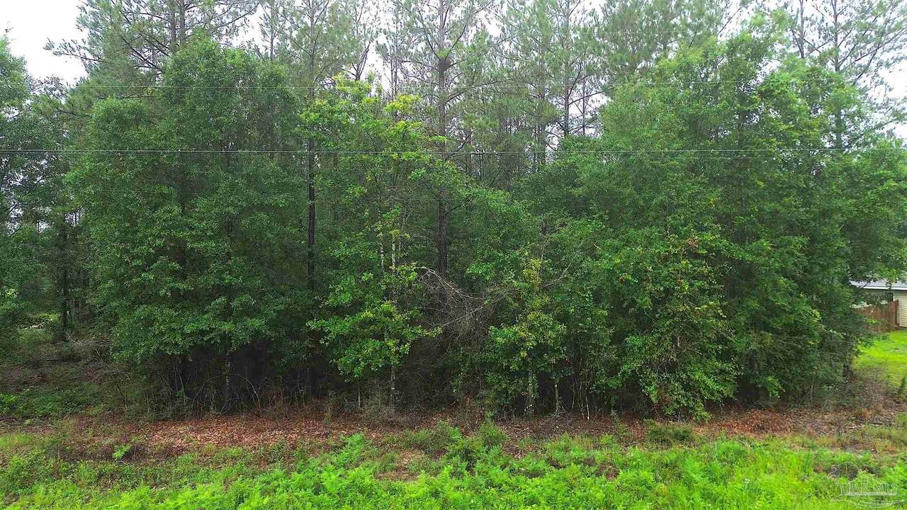 Lot 86 Pineview Church Rd - Photo 1