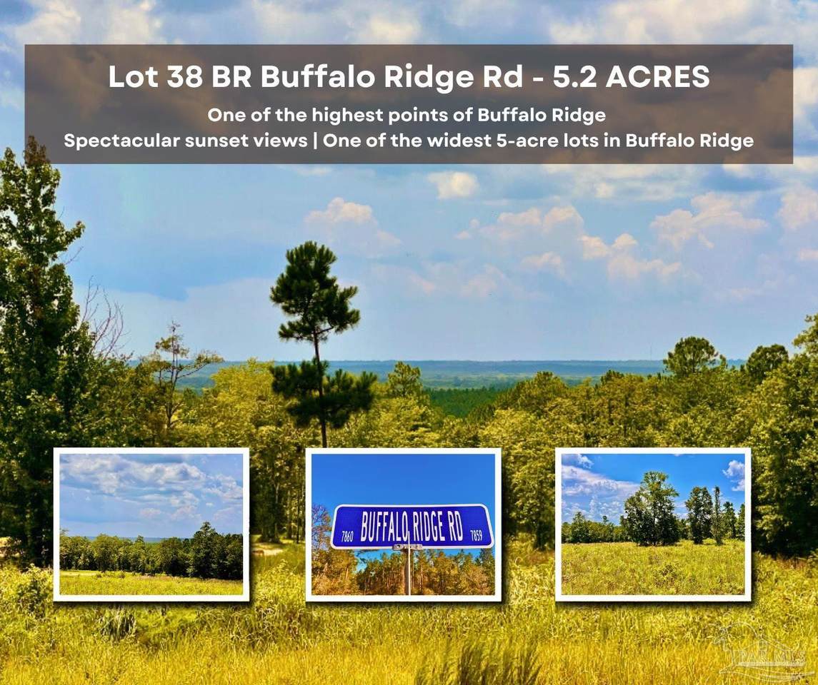 Lot 38 BR Buffalo Ridge Rd - Photo 1
