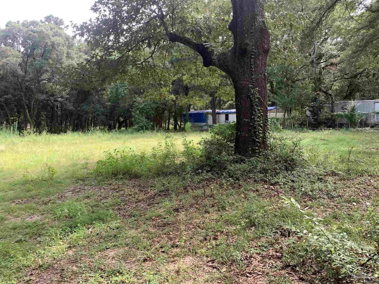 000B Guidy Ln - Photo 1