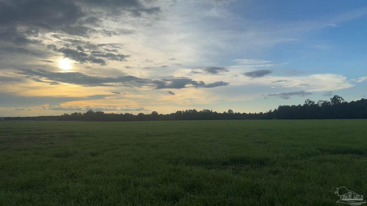 002 Huxford Rd - Photo 1