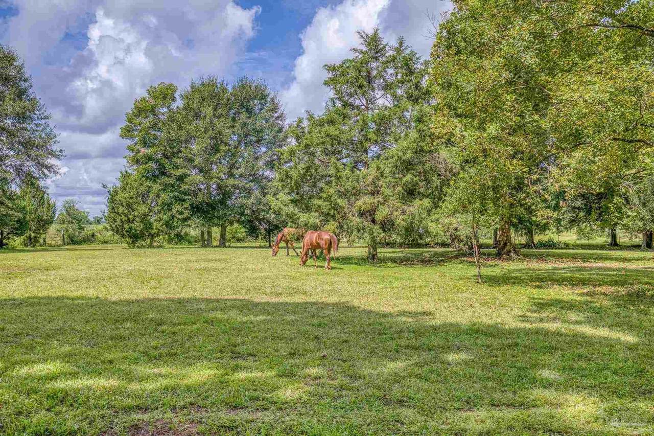 8430 Tidwell Rd - Photo 1