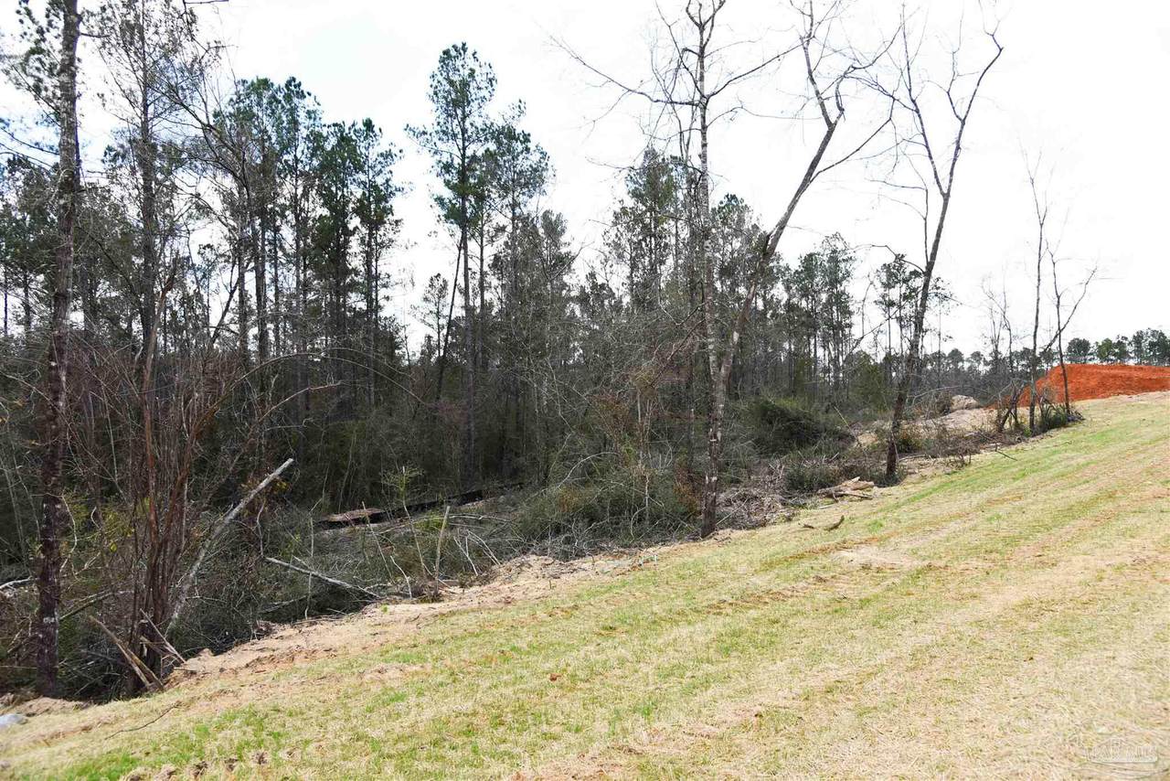 https://bt-photos.global.ssl.fastly.net/pensacola/1280_boomver_2_677625-2.jpg