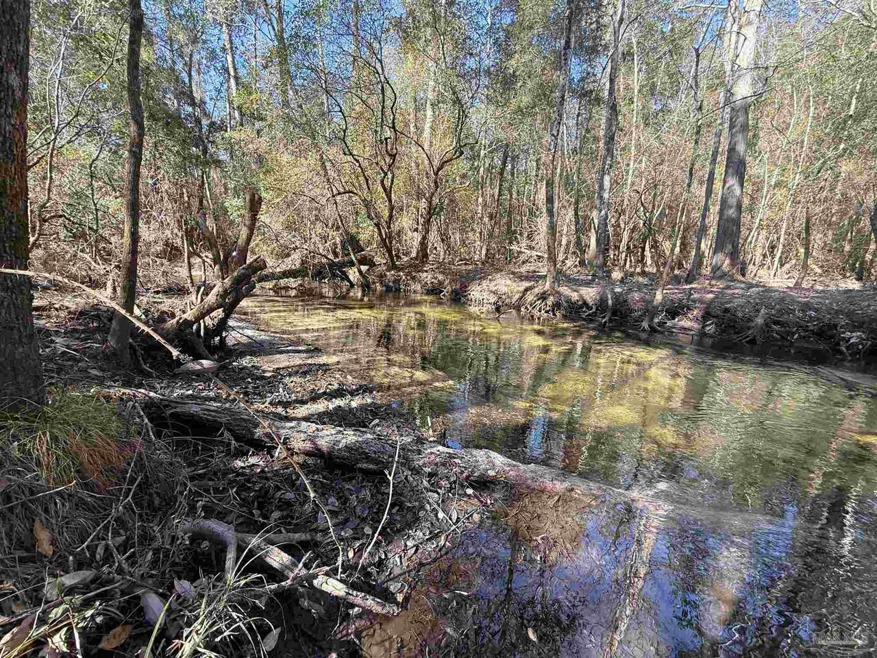 Lot 21 Creek Bluff Dr - Photo 1