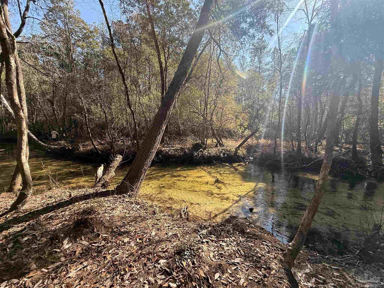Lot 20 Creek Bluff Dr - Photo 1