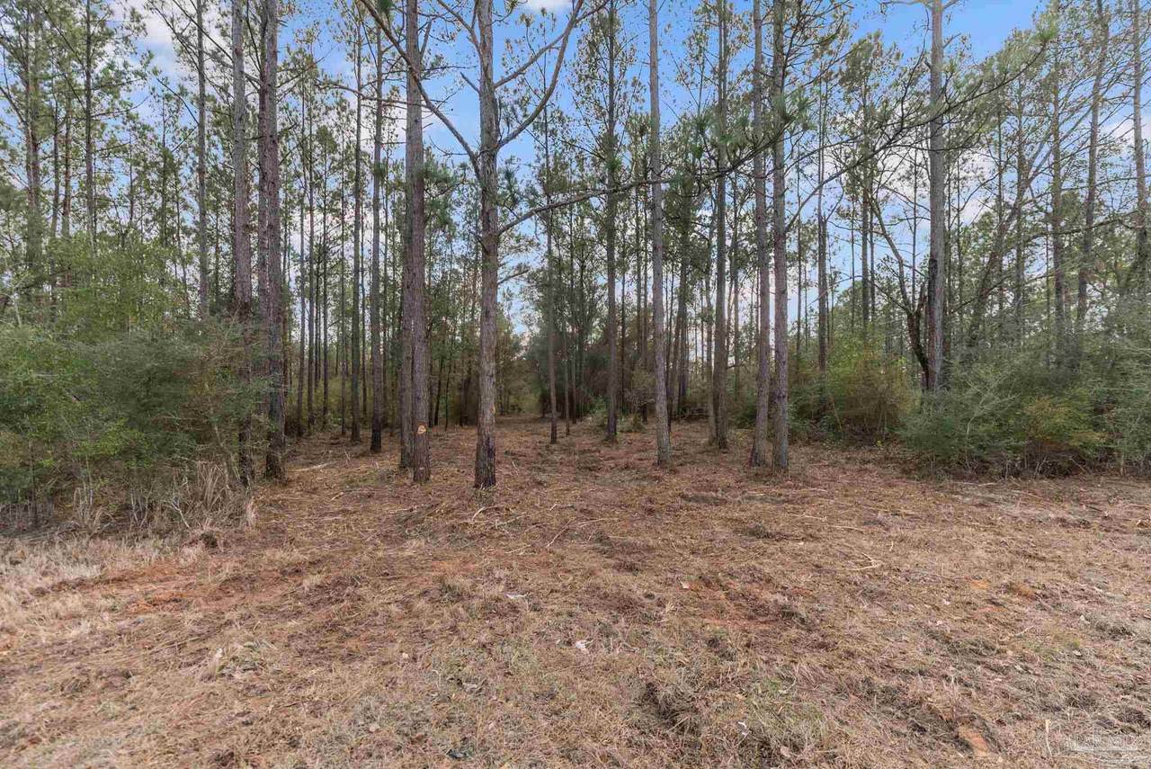 Lot #10 Bermuda Ln - Photo 1