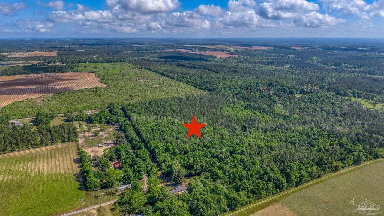00 Whitfield Rd - Photo 1