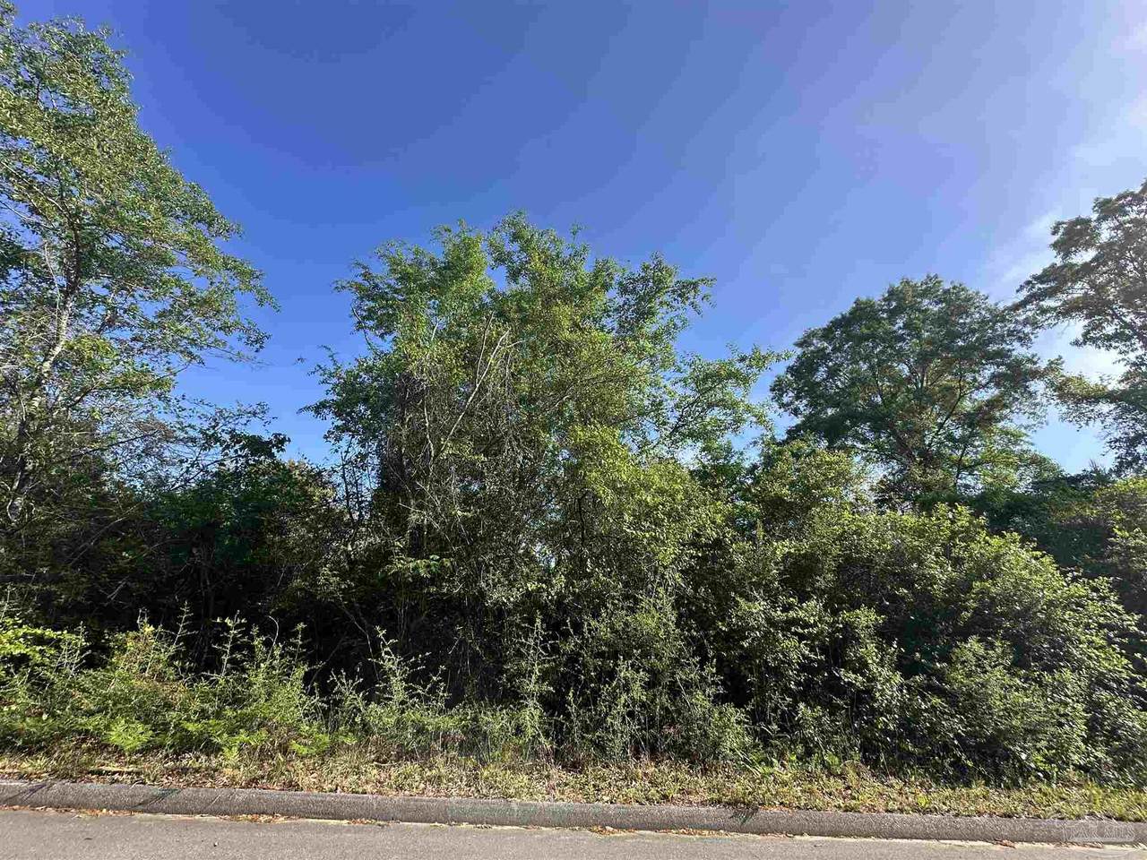 0000 Abb Pitman Rd - Photo 1