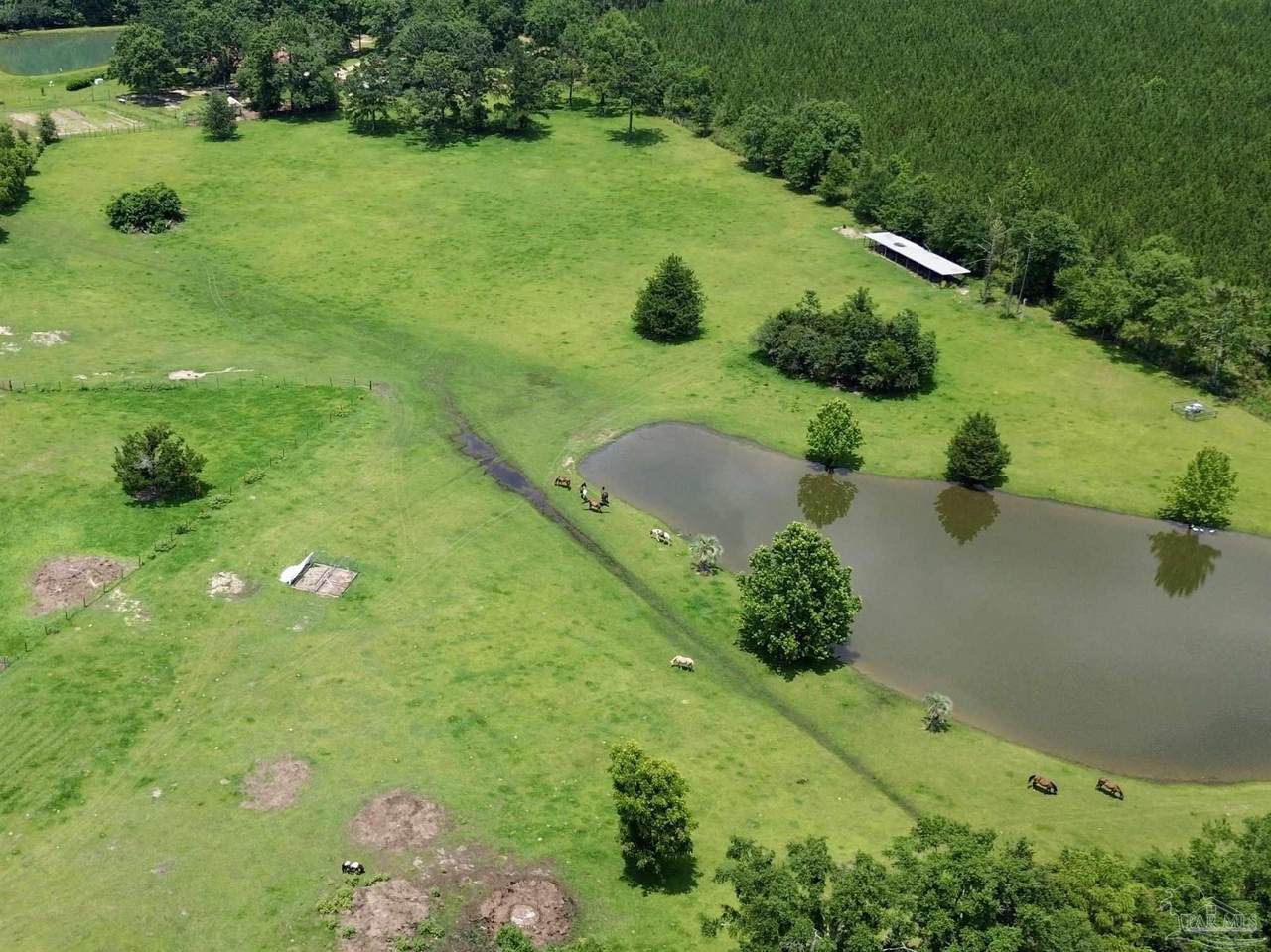 3010 Hwy 97 - Photo 1