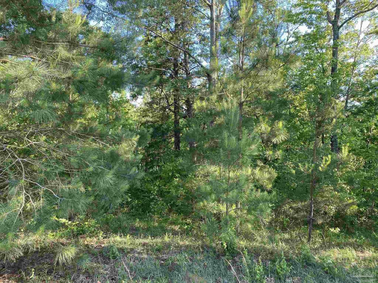 3525 County Rd 29 - Photo 1