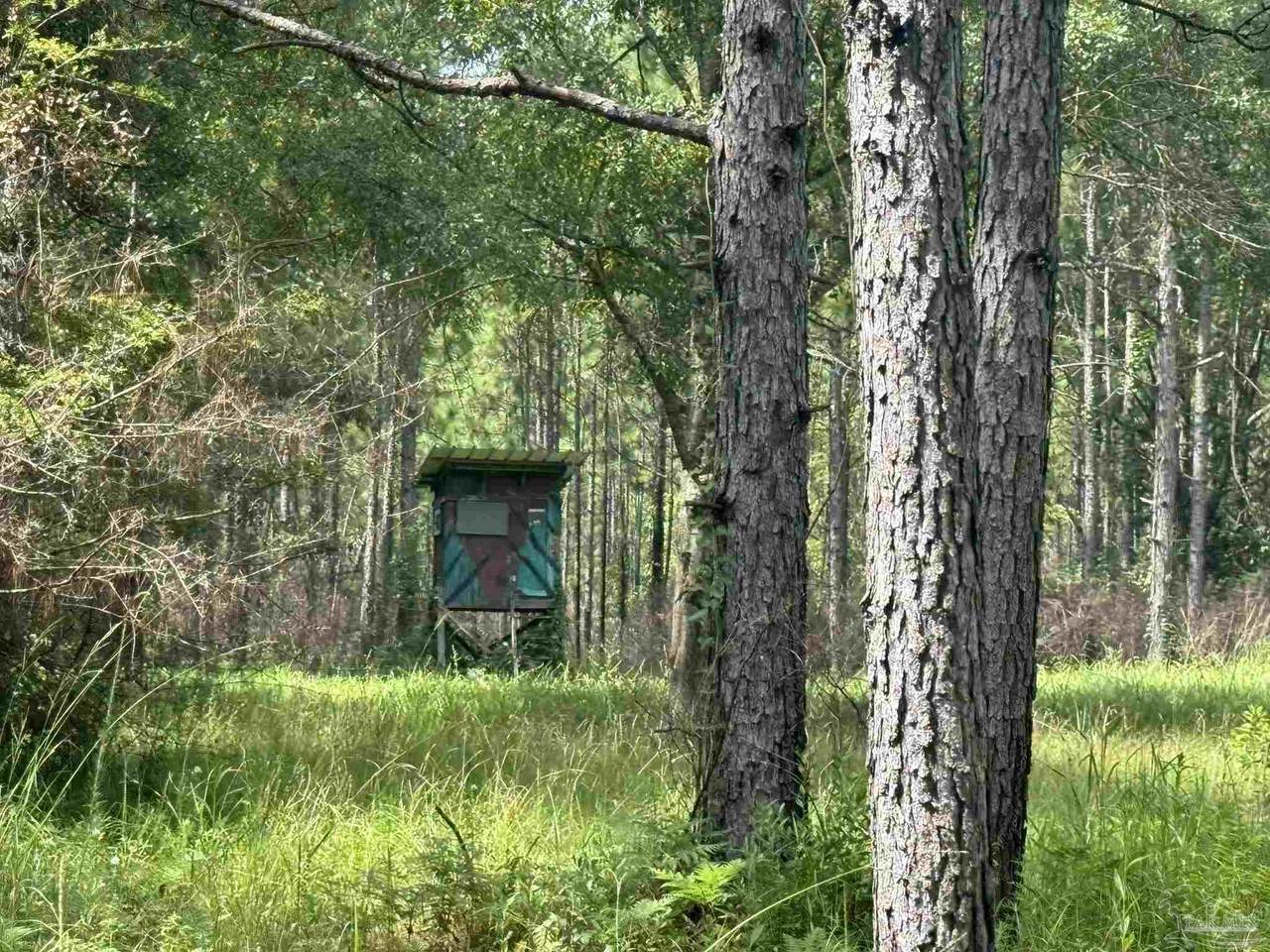 0 Nokomis Rd - Photo 1