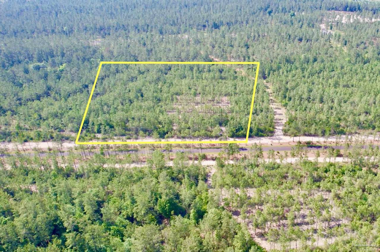 Lot 93 Turning Leaf Rd - Photo 1