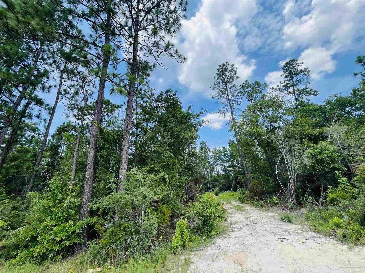 1292 Mineral Springs Rd - Photo 1