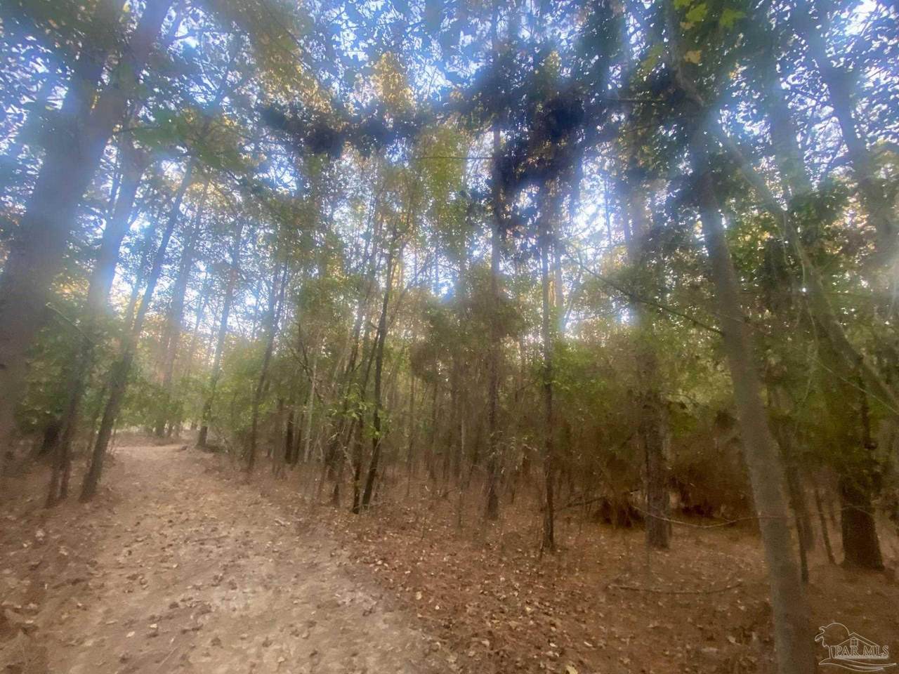 8 Acres Hwy 4 - Photo 1