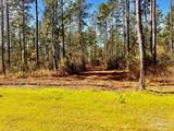Lot 1 Denali Rd - Photo 11