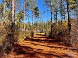 Lot 1 Denali Rd - Photo 13