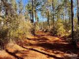 Lot 1 Denali Rd - Photo 14
