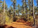 Lot 1 Denali Rd - Photo 15