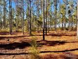 Lot 1 Denali Rd - Photo 20