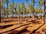 Lot 1 Denali Rd - Photo 21
