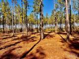 Lot 1 Denali Rd - Photo 22