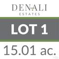 Lot 1 Denali Rd - Photo 5