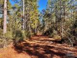 Lot 2 Denali Rd - Photo 11