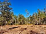 Lot 2 Denali Rd - Photo 12