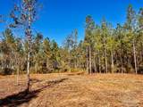 Lot 2 Denali Rd - Photo 13