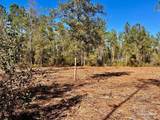 Lot 2 Denali Rd - Photo 14