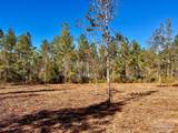 Lot 2 Denali Rd - Photo 2
