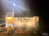 Lot 2 Denali Rd - Photo 23