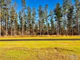 Lot 12 Denali Rd - Photo 10