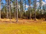 Lot 12 Denali Rd - Photo 11