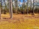 Lot 12 Denali Rd - Photo 12