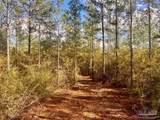 Lot 12 Denali Rd - Photo 13