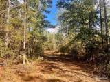 Lot 12 Denali Rd - Photo 14