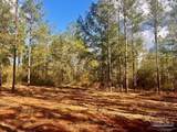 Lot 12 Denali Rd - Photo 15