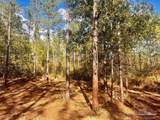 Lot 12 Denali Rd - Photo 17