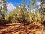 Lot 12 Denali Rd - Photo 2