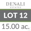 Lot 12 Denali Rd - Photo 5