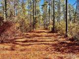 Lot 17 Denali Rd - Photo 17