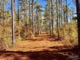 Lot 17 Denali Rd - Photo 18
