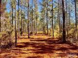Lot 17 Denali Rd - Photo 19
