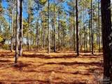 Lot 17 Denali Rd - Photo 2
